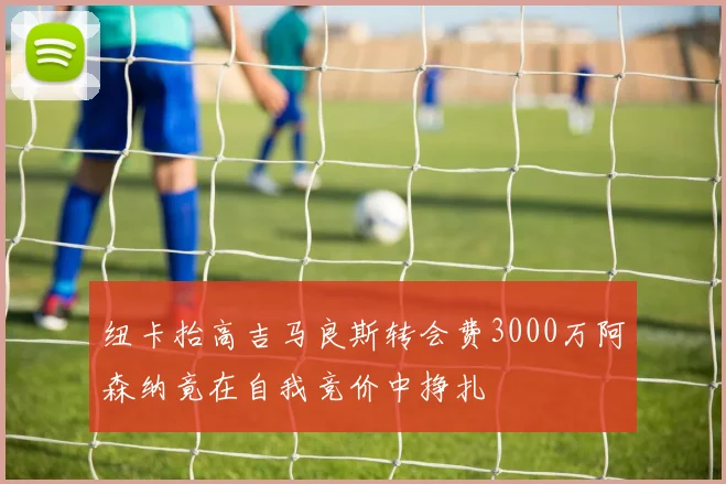纽卡抬高吉马良斯转会费3000万阿森纳竟在自我竞价中挣扎