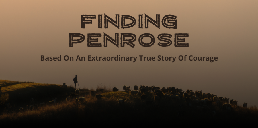 About Finding Penrose